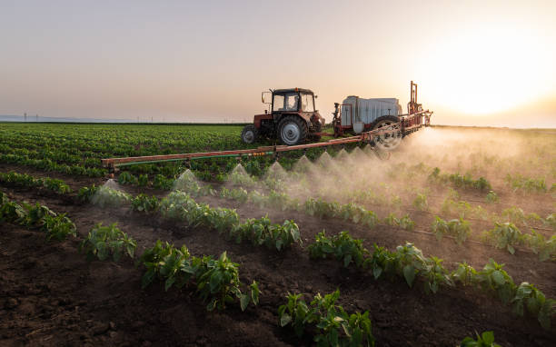  Old River Winfree, TX Pest Control Pros