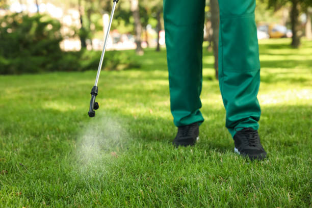 Best Exterminator Services  in Old River Winfree, TX