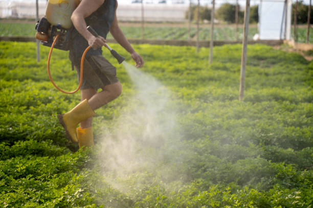 Best Best Pest Control Companies  in Old River Winfree, TX