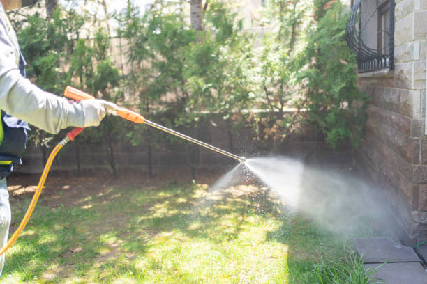 Best Pest Removal Services  in Old River Winfree, TX