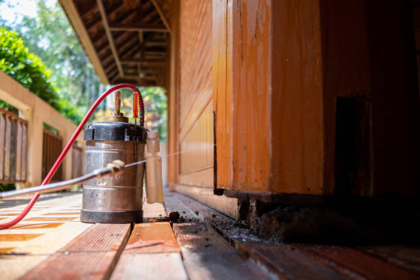 Best Pest Prevention Services  in Old River Winfree, TX